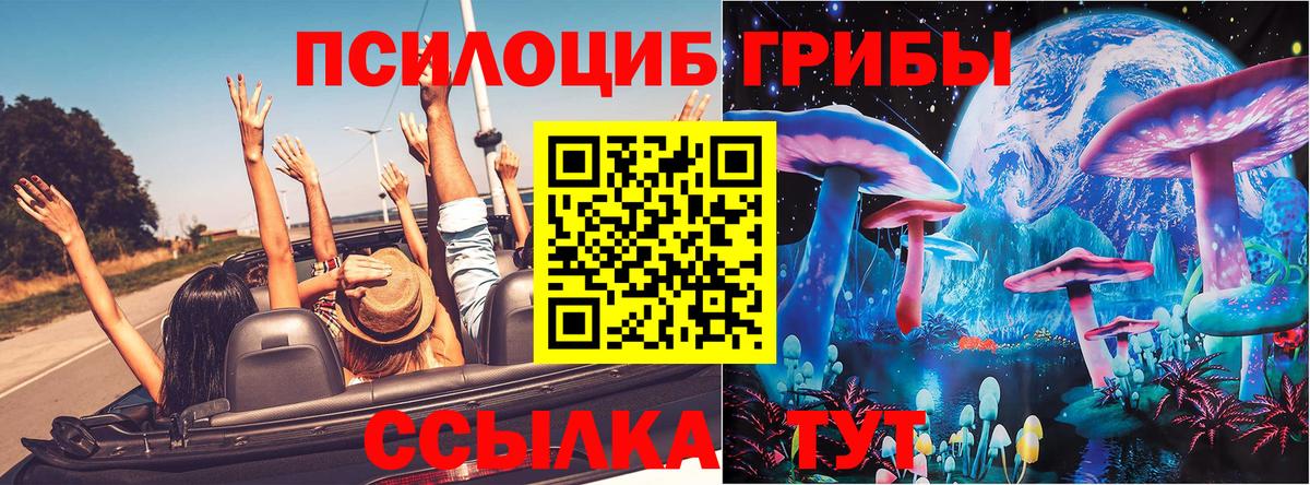 Тула  Галлюциногенные грибы прущие грибы  Вход с VPN 